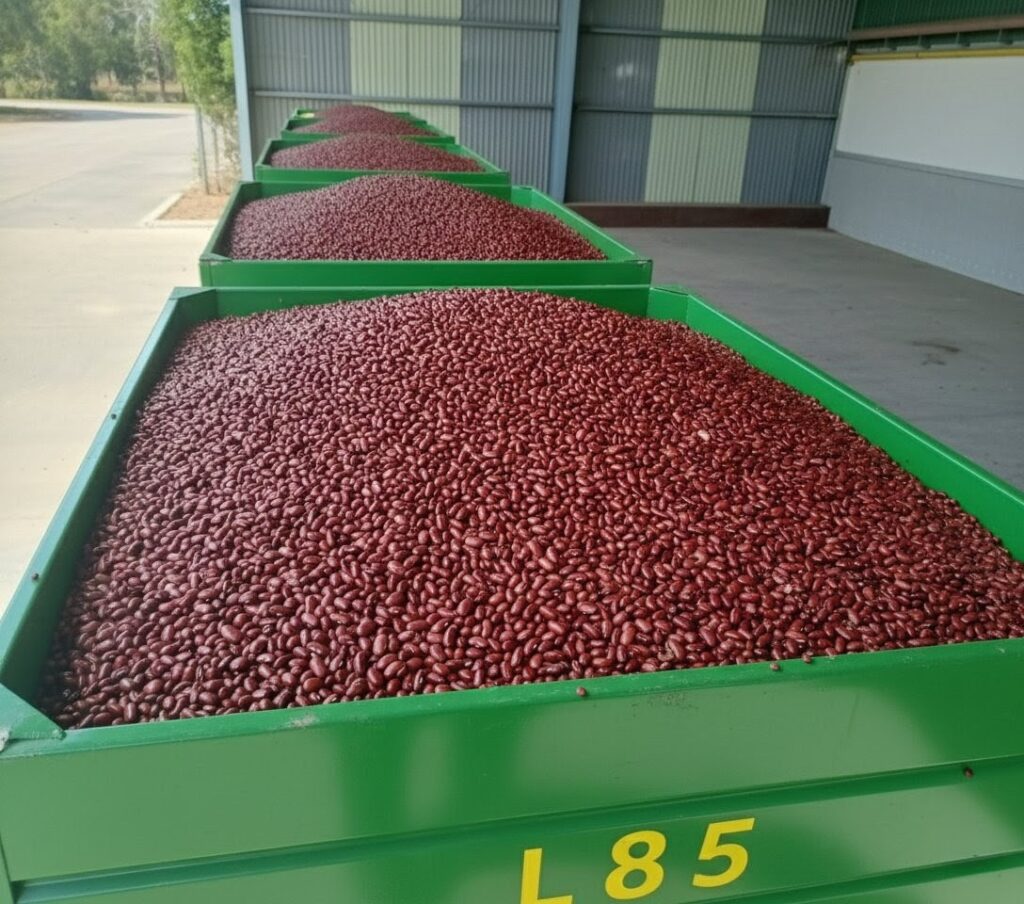 containers with products